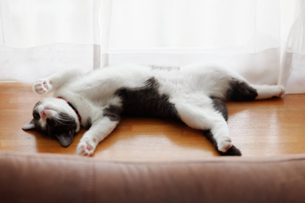 Positions sommeil-2